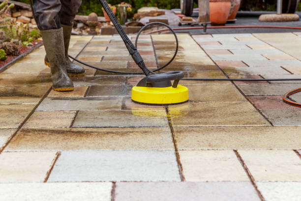 Best Roof Cleaning and Mildew Removal in Swansea, IL